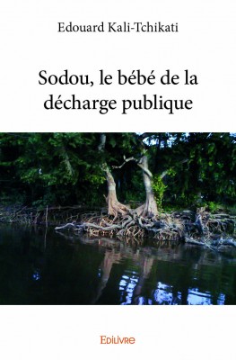 ROMAN : Édouard KALI-TCHIKATI vient de publier « Sodou, le bébé de la décharge publique » ROMAN : Édouard KALI-TCHIKATI vient de publier « Sodou, le bébé de la décharge publique »