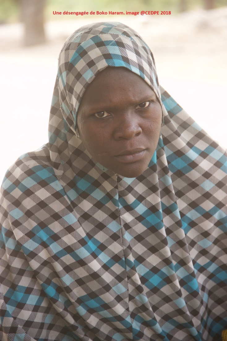 عدد المجندين في حركة بوكو حرام ١٤٥٢٠ في سنة ٢٠١٦، لينخفض الي ١٢٣٢٠ في ٢٠١٨، هذا يعني ان 2200 شخص قد عادو عدد المجندين في حركة بوكو حرام ١٤٥٢٠ في سنة ٢٠١٦، لينخفض الي ١٢٣٢٠ في ٢٠١٨، هذا يعني ان 2200 شخص قد عادو