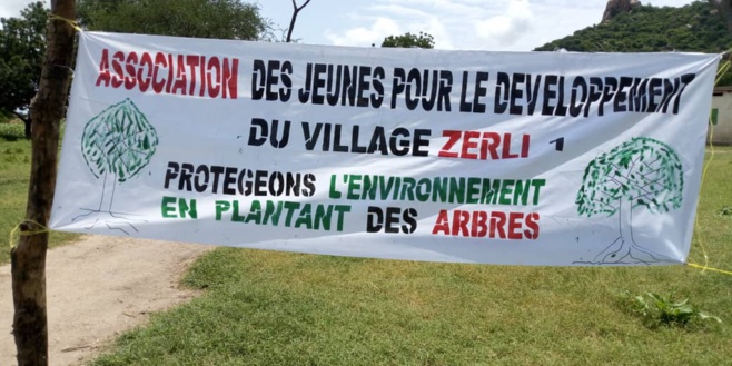 Tchad : une opération de reboisement à Zerli 1, près de Mongo, pour la semaine de l'arbre Tchad : une opération de reboisement à Zerli 1, près de Mongo, pour la semaine de l'arbre