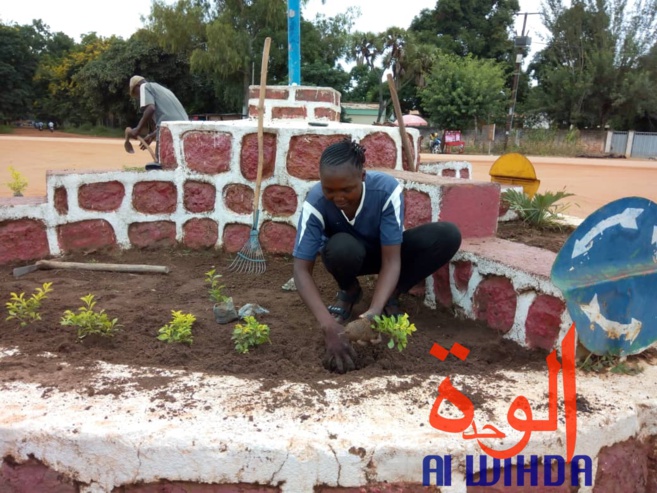 Tchad : fleuriste et mère, Denemadji Koulamadji prend en charge sa famille avec son métier. © Golmem Ali/Alwihda Info