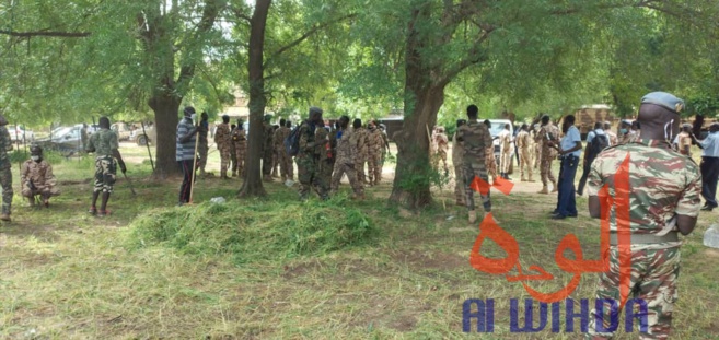 Tchad : les forces de défense et de sécurité en opération de salubrité à N'Djamena Tchad : les forces de défense et de sécurité en opération de salubrité à N'Djamena