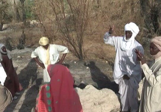 Tchad : des palmiers dattiers ravagés dans un incendie à Faya Tchad : des palmiers dattiers ravagés dans un incendie à Faya