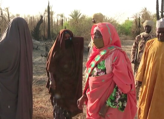 Tchad : des palmiers dattiers ravagés dans un incendie à Faya Tchad : des palmiers dattiers ravagés dans un incendie à Faya