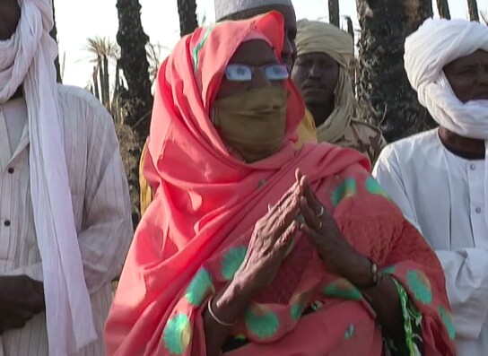 Tchad : des palmiers dattiers ravagés dans un incendie à Faya Tchad : des palmiers dattiers ravagés dans un incendie à Faya