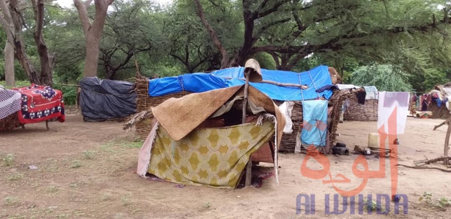 Tchad : des sinistrés et des maisons englouties à Ati suite à la crue du fleuve Batha. © Hassan Djidda Hassan/Alwihda Info