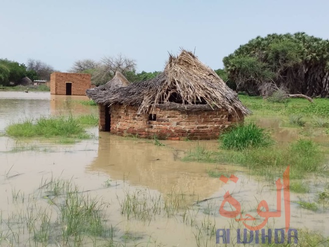 Tchad : des sinistrés et des maisons englouties à Ati suite à la crue du fleuve Batha. © Hassan Djidda Hassan/Alwihda Info