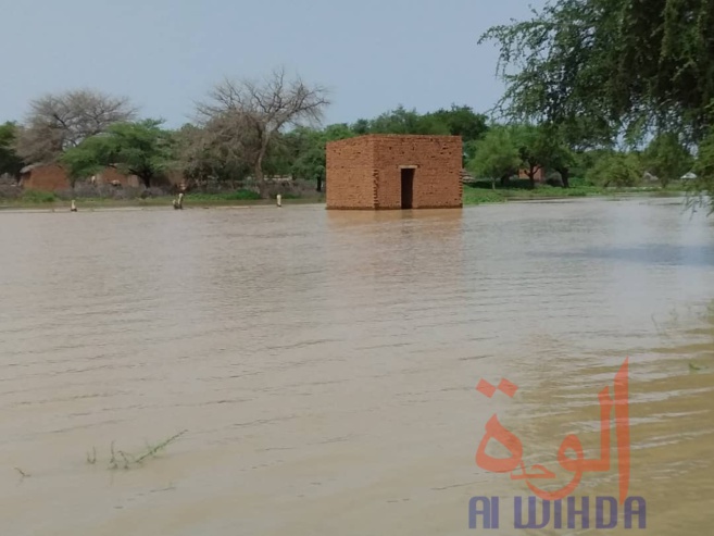 Tchad : des sinistrés et des maisons englouties à Ati suite à la crue du fleuve Batha. © Hassan Djidda Hassan/Alwihda Info Tchad : des sinistrés et des maisons englouties à Ati suite à la crue du fleuve Batha. © Hassan Djidda Hassan/Alwihda Info