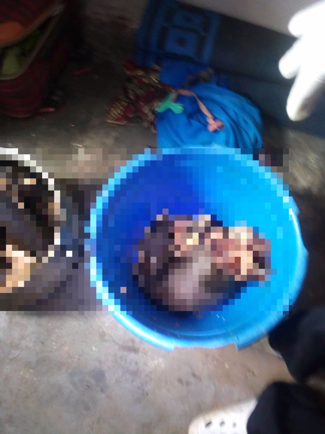 Cameroun : une mère égorge ses deux fillettes et cuisine les corps dans une marmite Cameroun : une mère égorge ses deux fillettes et cuisine les corps dans une marmite