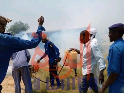Tchad - Chikungunya : Biltine reçoit l'appui de la voirie d'Abéché pour la pulvérisation Tchad - Chikungunya : Biltine reçoit l'appui de la voirie d'Abéché pour la pulvérisation