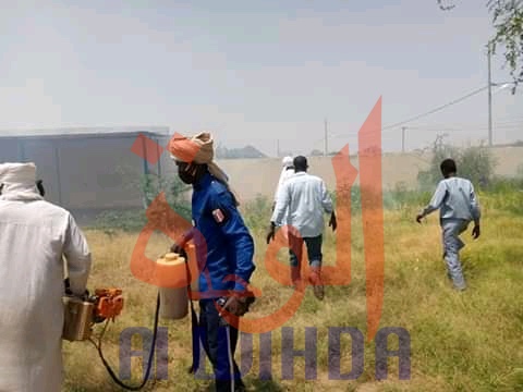 Tchad - Chikungunya : Biltine reçoit l'appui de la voirie d'Abéché pour la pulvérisation Tchad - Chikungunya : Biltine reçoit l'appui de la voirie d'Abéché pour la pulvérisation