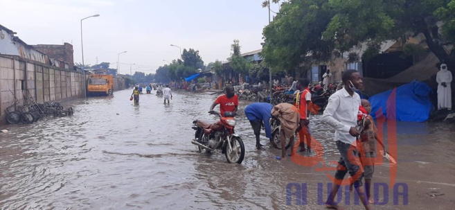 Tchad : des commerces impactés par les inondations au marché à Mil de N'Djamena Tchad : des commerces impactés par les inondations au marché à Mil de N'Djamena