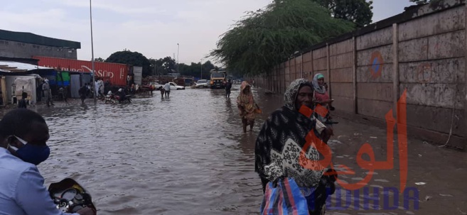 Tchad : des commerces impactés par les inondations au marché à Mil de N'Djamena Tchad : des commerces impactés par les inondations au marché à Mil de N'Djamena