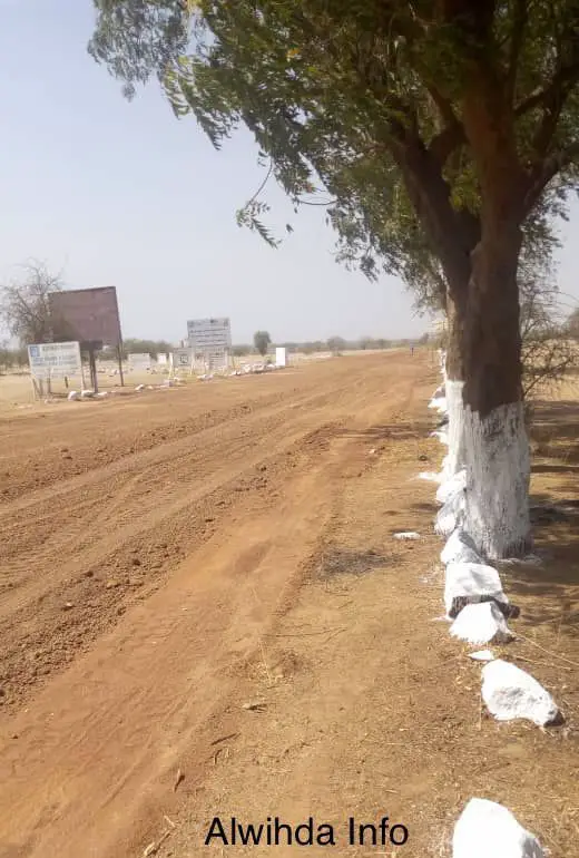 Tchad : le Guéra lance sa semaine de l'arbre pour lutter contre la désertification