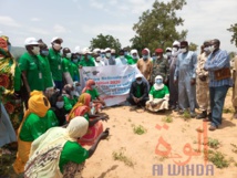 Tchad : au Sila, Concern Worldwide plante un millier d'arbres pour freiner la désertification. © Mahamat Issa Gadaya/Alwihda Info