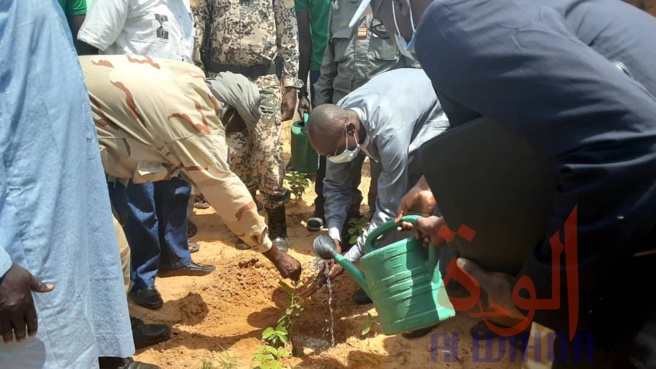 Tchad : au Sila, Concern Worldwide plante un millier d'arbres pour freiner la désertification. © Mahamat Issa Gadaya/Alwihda Info