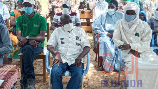 Tchad : au Sila, Concern Worldwide plante un millier d'arbres pour freiner la désertification. © Mahamat Issa Gadaya/Alwihda Info Tchad : au Sila, Concern Worldwide plante un millier d'arbres pour freiner la désertification. © Mahamat Issa Gadaya/Alwihda Info