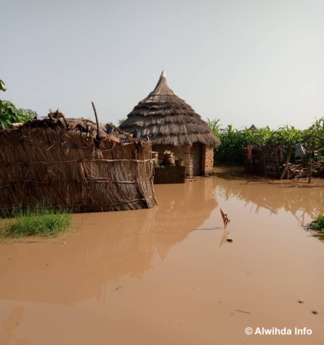 Des inondations dans la province de Sila, à l'Est du Tchad, en août 2020. © Mahamat Issa Gadaya/Alwihda Info Des inondations dans la province de Sila, à l'Est du Tchad, en août 2020. © Mahamat Issa Gadaya/Alwihda Info