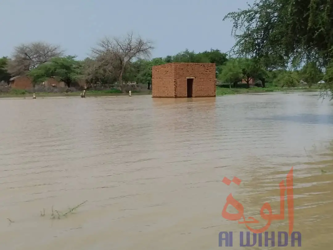 Tchad : des sinistrés et des maisons englouties à Ati suite à la crue du fleuve Batha. © Hassan Djidda Hassan/Alwihda Info
