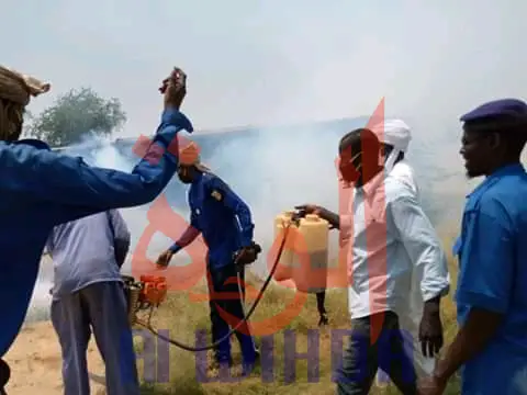 Tchad - Chikungunya : Biltine reçoit l'appui de la voirie d'Abéché pour la pulvérisation