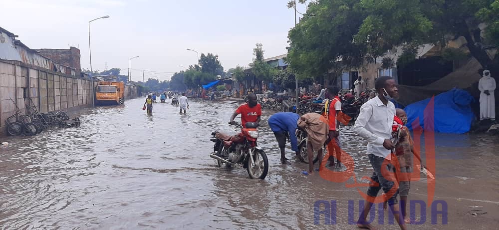 Tchad : des commerces impactés par les inondations au marché à Mil de N'Djamena