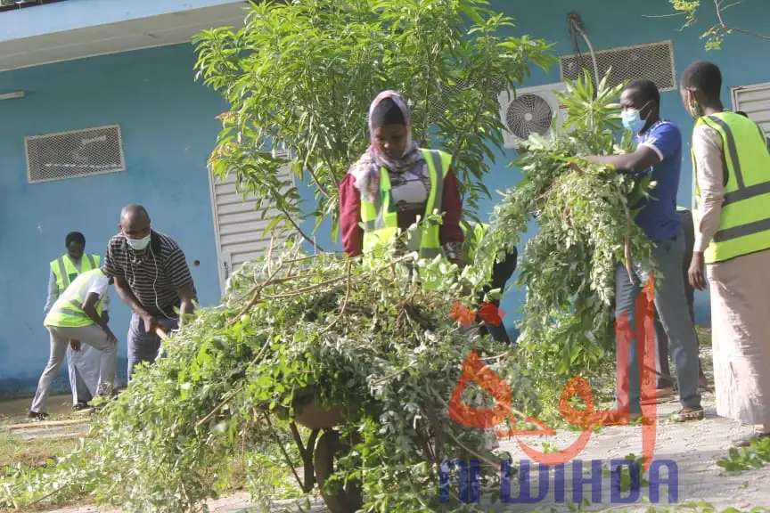 Tchad : des jeunes volontaires nettoient l'université virtuelle pour faciliter la reprise. © Ben Kadabio/Alwihda Info