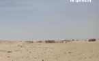 ​Le Tchad confirme la présence de la leishmaniose viscérale à l’extrême Nord, en zone d’orpaillage