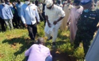Tchad : la semaine de l’arbre lancée à Guelendeng