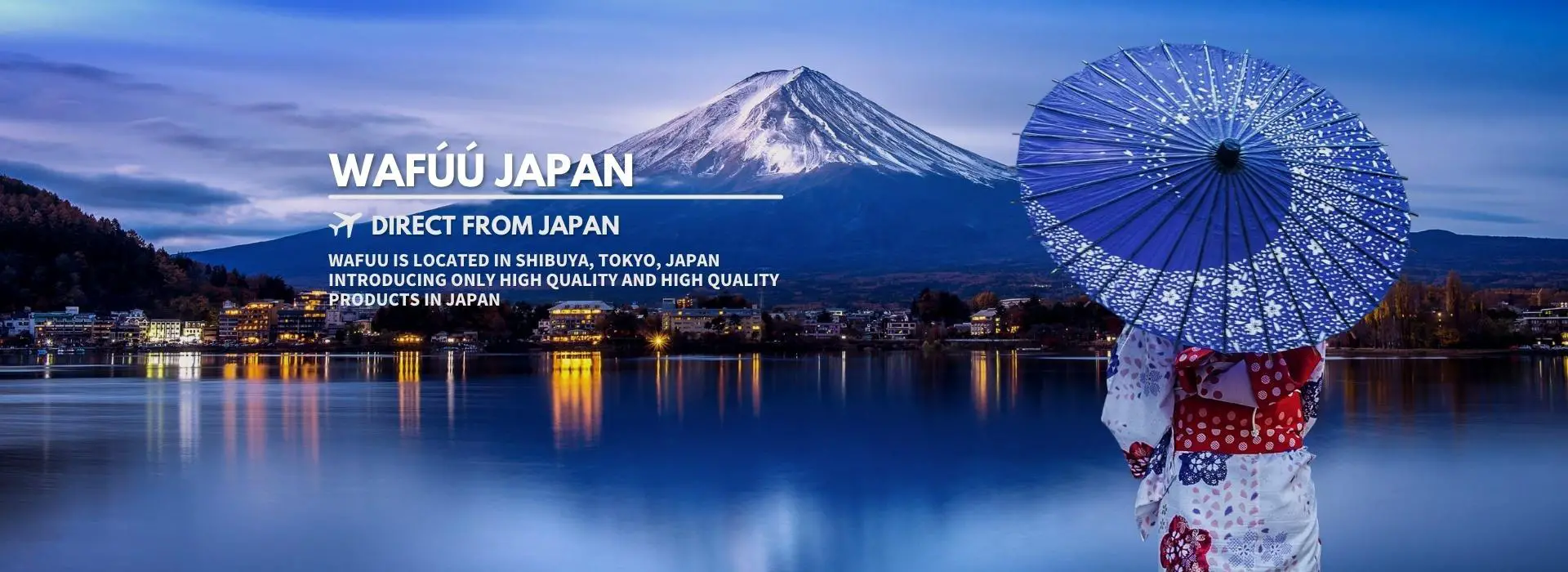 WAFUU.COM du Japon : expansion mondiale en 20 langues, croissance de plus de 1 200 %