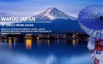 WAFUU.COM du Japon : expansion mondiale en 20 langues, croissance de plus de 1 200 %