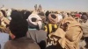 Tchad : l'armée accentue la pression sur les orpailleurs au nord (Vidéo)