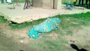 Tchad : une femme se donne la mort dans un puits à Pala
