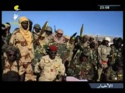 Vidéo des affrontements entre l'armée tchadienne et Boko Haram