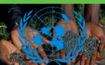 À quoi servent les Nations Unies au Kivu ? À quoi servent les Nations Unies au Kivu ?