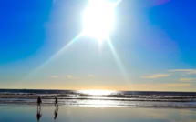 Projet de souscription pour une publication Projet de souscription pour une publication