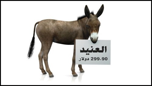 البحر من أمامك والإنترنت من ورائك البحر من أمامك والإنترنت من ورائك