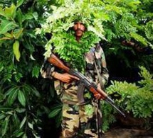 Reportage Mali : la guerre comme si on y était Reportage Mali : la guerre comme si on y était