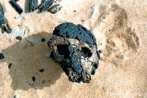 Le crâne fossile de Toumaï, découvert en 2001 au Tchad, a-t-il bien 7 millions d'années ? Le crâne fossile de Toumaï, découvert en 2001 au Tchad, a-t-il bien 7 millions d'années ?