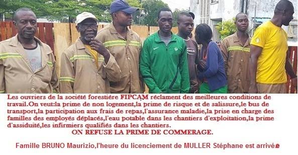 Cameroun:Pourquoi le BUREAU VERITAS  ne doit  pas accorder une extension du certificat OLB à la FIPCAM