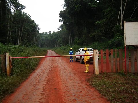 Cameroun:Vers une suspension temporaire des activités de la société forestière Fipcam