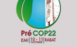 Le Maroc pleinement engagé dans la lutte contre les changements climatiques : la région Rabat-Salé-Kénitra organise sa pré-COP. 