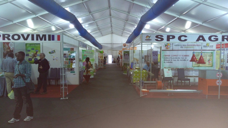 Cameroun/Savi 2016: La relance de la filière avicole en prime