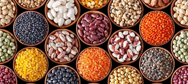 La BAD alloue un don d’un million de dollars EU à une campagne de nutrition dans l’État de Borno, au Nigeria La BAD alloue un don d’un million de dollars EU à une campagne de nutrition dans l’État de Borno, au Nigeria