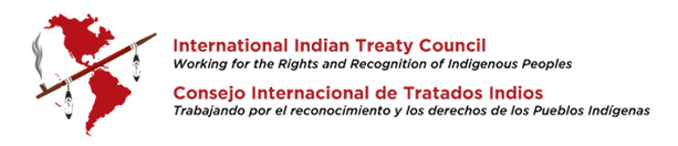 The International Indian Treaty Council (IITC) condemns the use of Deadly Force by Law Enforcement against Standing Rock Water Protectors, calls for additional UN action