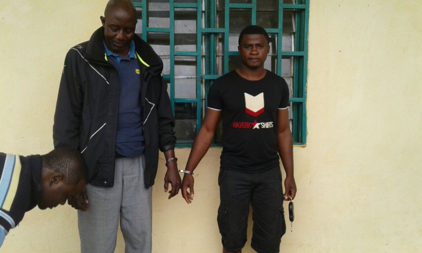 Cameroun/Tibati : deux trafiquants de pangolins aux arrêts Cameroun/Tibati : deux trafiquants de pangolins aux arrêts