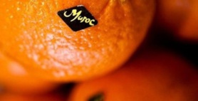 Verdict  de la Cour Européenne de Justice : un froid sibérien s'est abattu sur le polisario et son sponsor algérien. Verdict  de la Cour Européenne de Justice : un froid sibérien s'est abattu sur le polisario et son sponsor algérien.