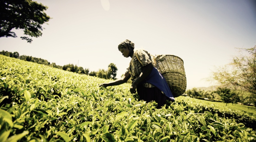 Mastercard lance un Marketplace mobile pour numériser le secteur agricole est-africain