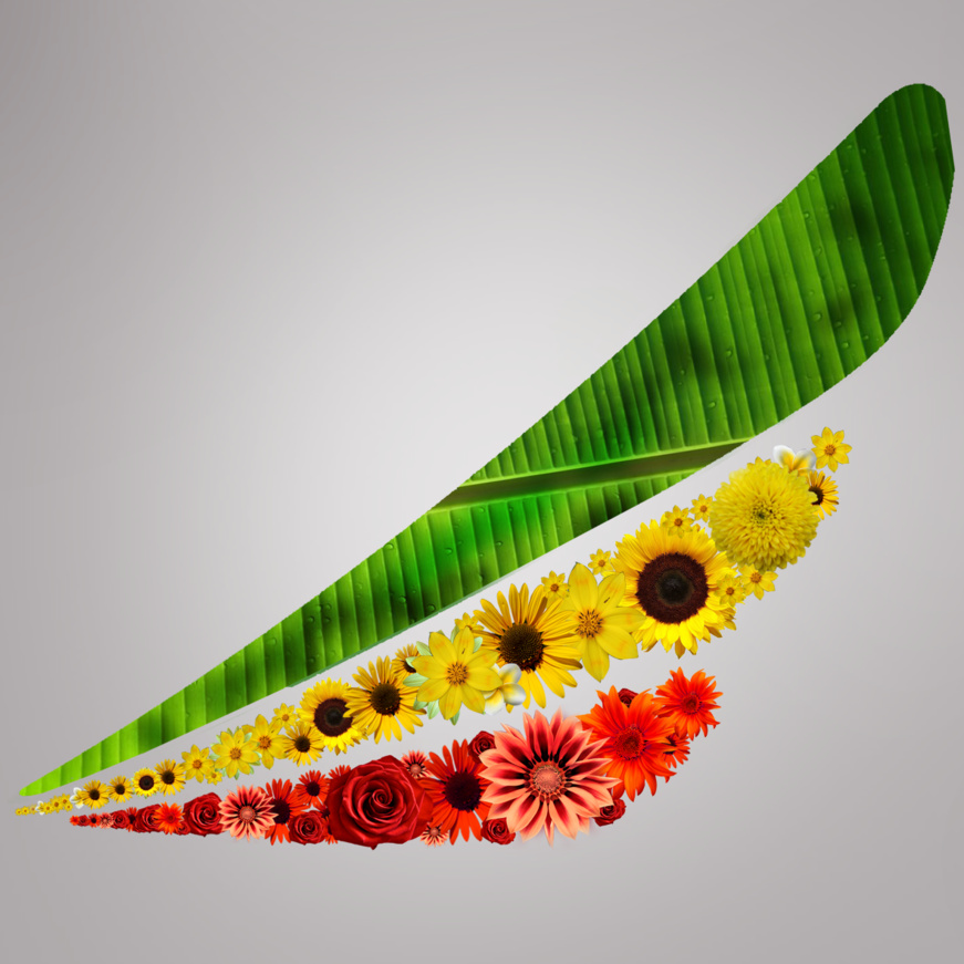 Ethiopian Airlines championne de la ponctualité des vols Ethiopian Airlines championne de la ponctualité des vols