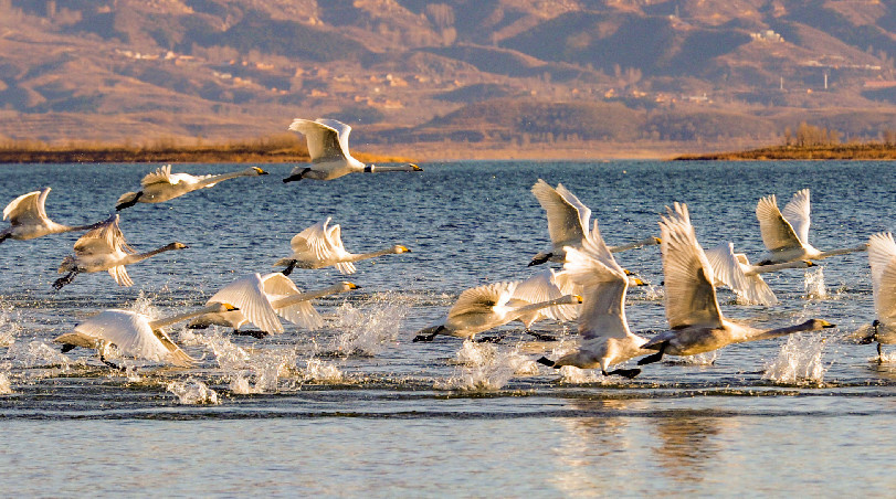 China draws "red line" for ecological conservation China draws "red line" for ecological conservation