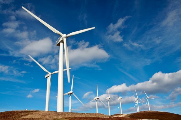 Des éoliennes. Crédits photo : Sources