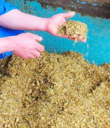 Mélamine/Chine: 294.000 enfants ont été malades, 154 sont dans un état grave Mélamine/Chine: 294.000 enfants ont été malades, 154 sont dans un état grave